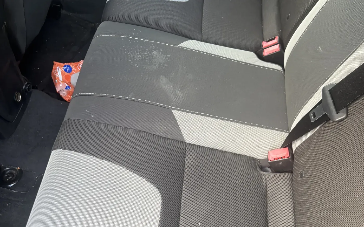 Shampooed and extracted car carpet and rear bench seat after detailing